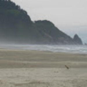 Meet your Posher, Marta